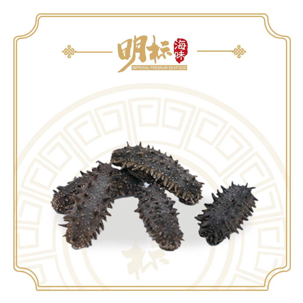 Premium Dried Japan Deep Sea Prickly Sea Cucumber/刺参 100g