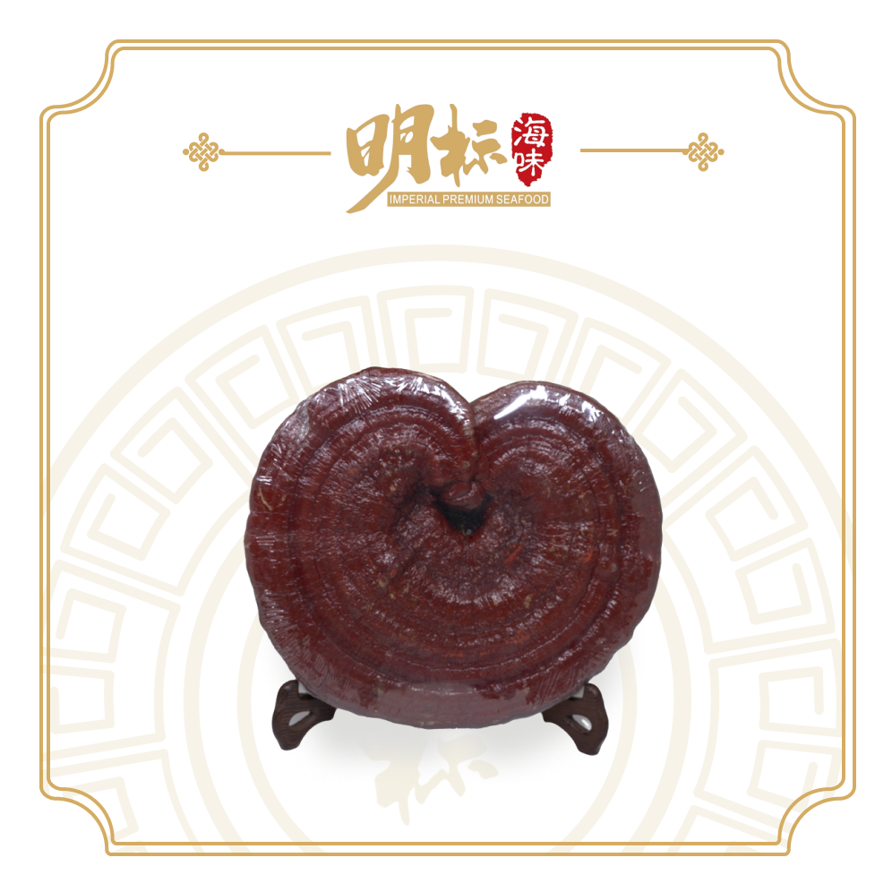 Premium Ganoderma Lucidum/ling zhi 灵芝