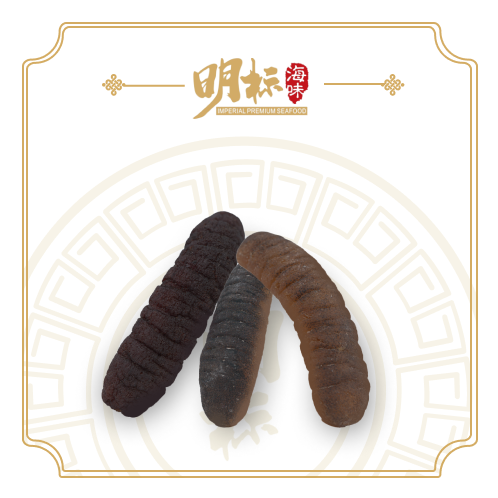 Premium Dried Bald Sea Cucumber/秃参 100g